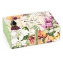 Orchids In Bloom 4.5 Oz Boxed Soap Bar