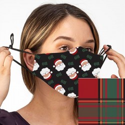 Arianna Red & Green Plaid Face Mask