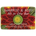 Shampoo & Body All In One Bar