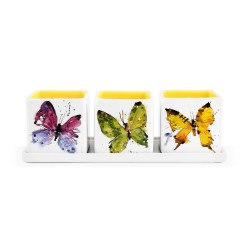 Butterflies Herb Planter Set