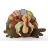 Turkey With Multicolor Tail