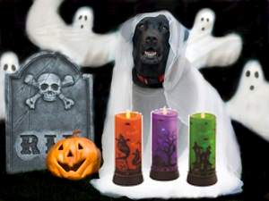 Max-halloween-2014