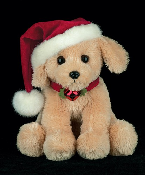 Santas lil buddy