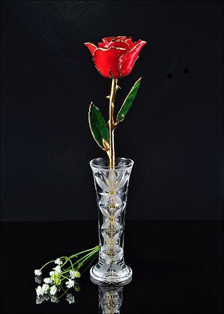 THE ROSE LADY RED ROSE
