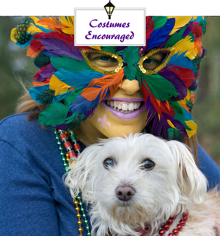 mardi gras costumes